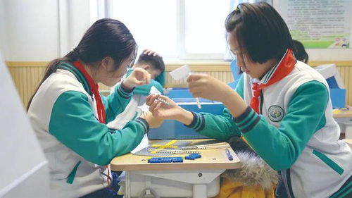 雙師素質課堂來啦 看數字化如何助力課后服務升級，護航學生課后看護